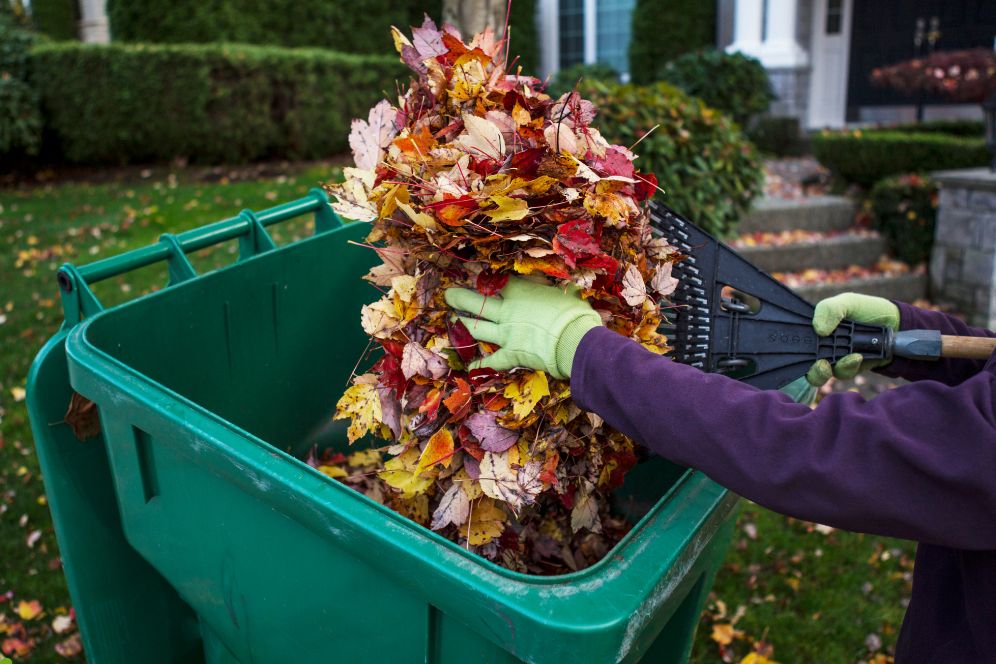 A person wearing gloves is lifting leaves from a green bin into a yard, surrounded by grass and trees.