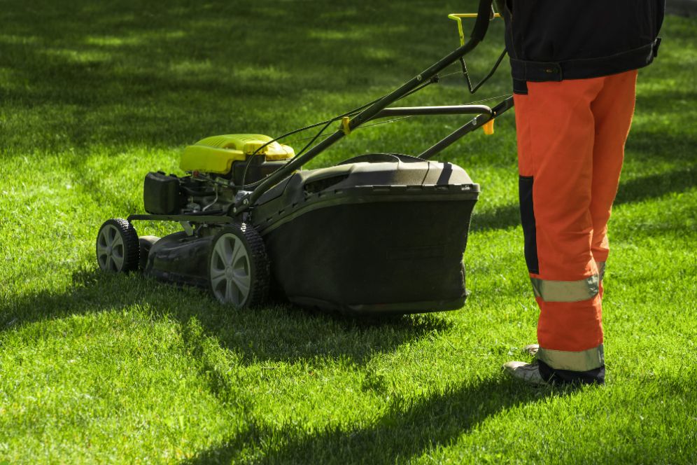 A man using a lawn mower to cut grass in a well-maintained yard on a sunny day.