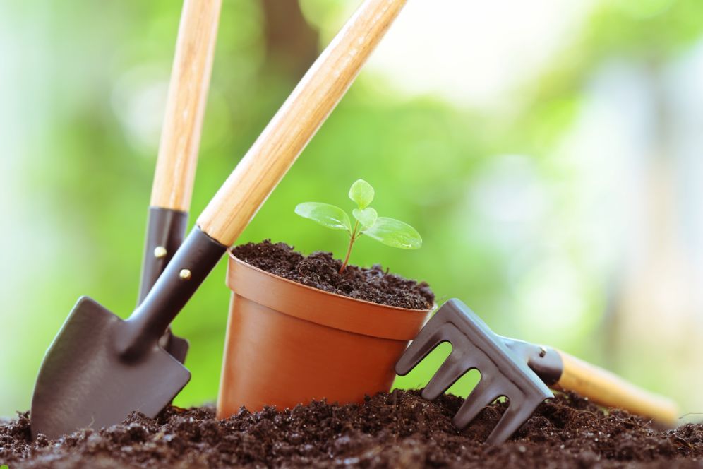 A collection of gardening tools, including a trowel and gloves, placed beside a pile of rich, dark soil.