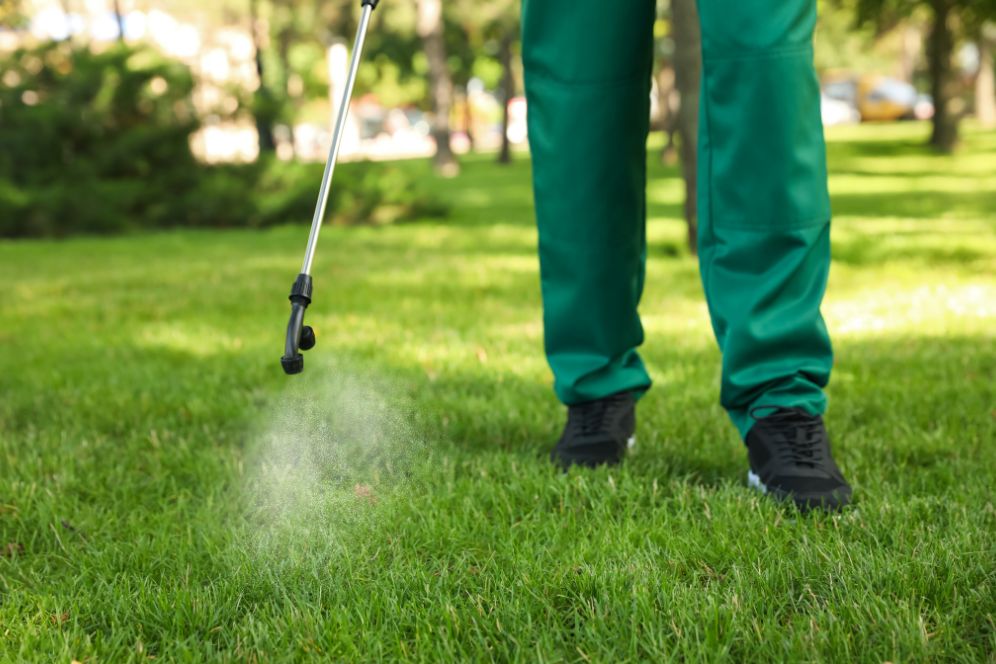 A person wearing green pants sprays water on a lawn using a garden hose, tending to the grass.