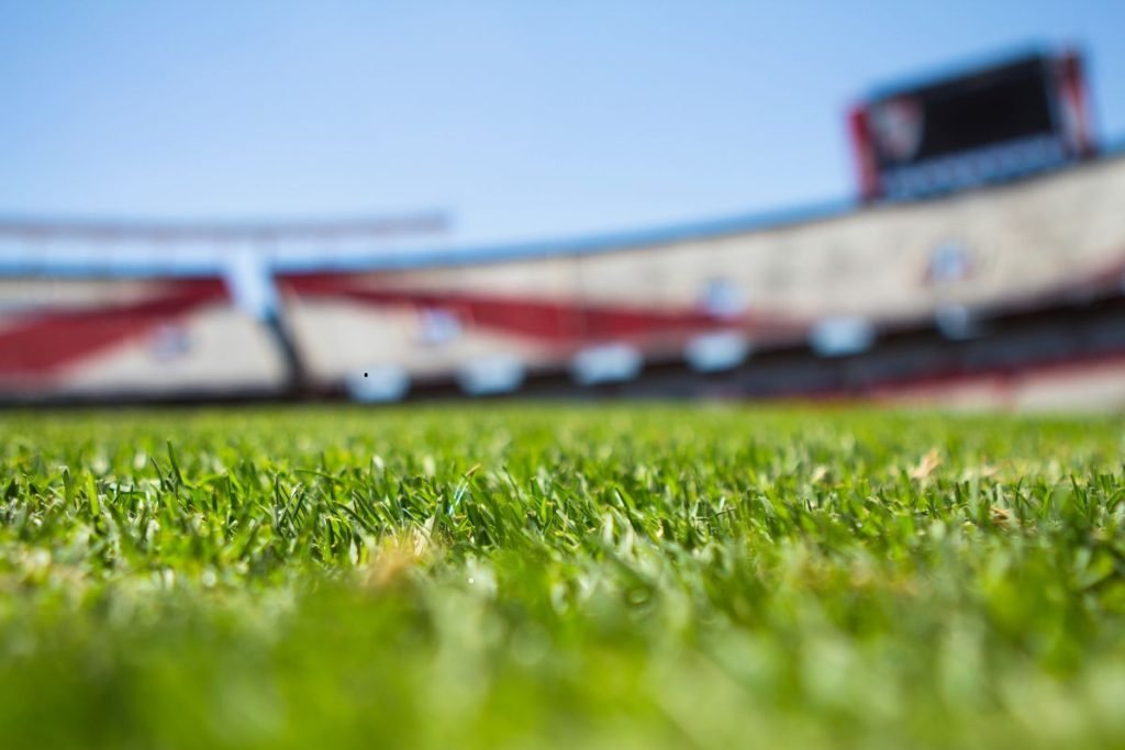 A close-up view of a lush grass field with a stadium visible in the background, showcasing vibrant green hues.